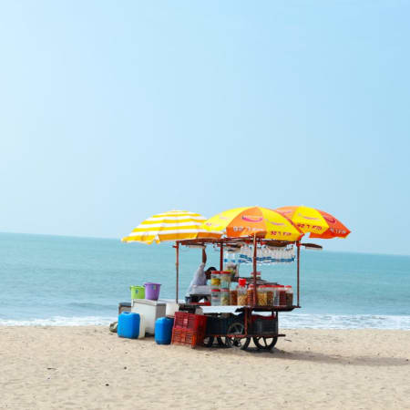 10-Day India Heritage and Wildlife Tour from Delhi to Kerala