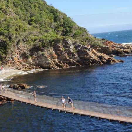 4-Day Tsitsikamma and Addo Safari with Camping and Bungee Jump