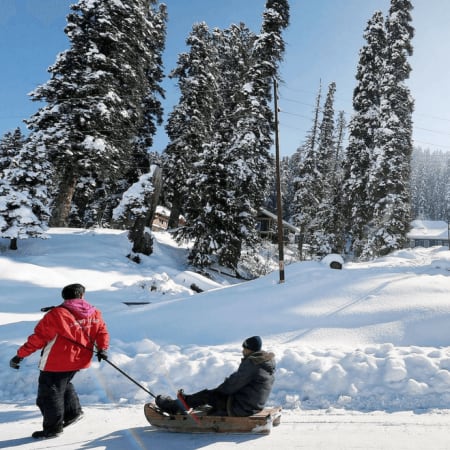 5-Day Kashmir Valley Tour with Houseboat Stay and Gulmarg