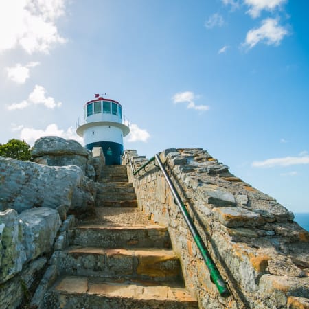 1-Day Cape Peninsula Tour with Chapman's Peak and Boulders Beach
