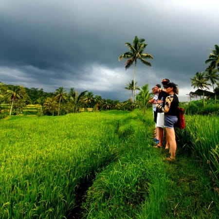 8-Hour Lombok Village and Waterfall Tour with Sukarara Weaving