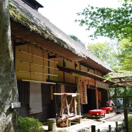 9-Hour Hakone Hachiri Hike with Lake Ashi and Edo Trail Heritage