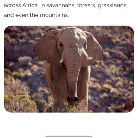 Full-Day Aquila Big Five Safari from Cape Town with Karoo Game Drive
