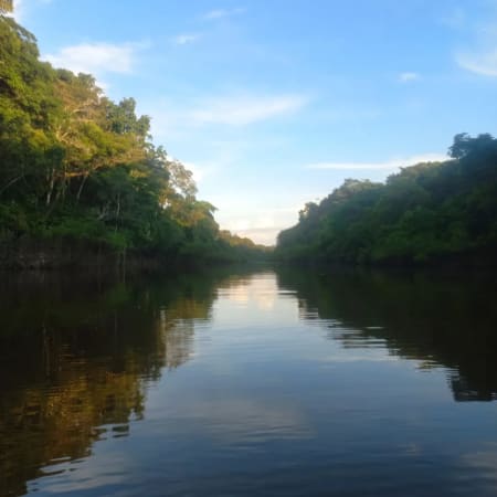 4-Day Jungle Expedition from Iquitos to Nauta and Yarapa River