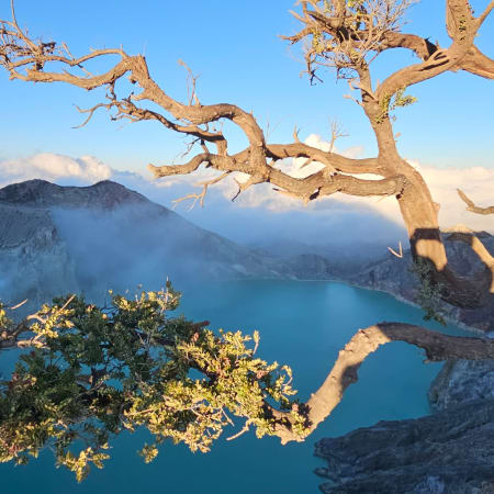 5-Day Java Cultural Tour with Bromo Sunrise and Ijen Trek