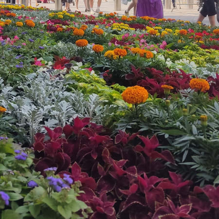 3-Hour Moscow Walking Tour with Red Square and St. Basil's Cathedral