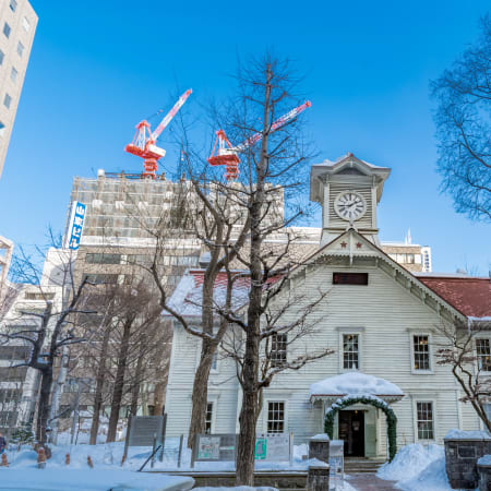 4-Hour Private Sapporo Tour with Hokkaido Shrine and Fish Market