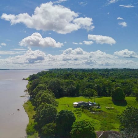 Tour de 4 horas por el Amazonas en Iquitos con avistamiento de delfines