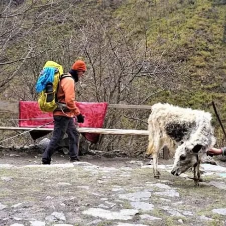 12-Day Langtang Valley Trek and Kathmandu Heritage Tour