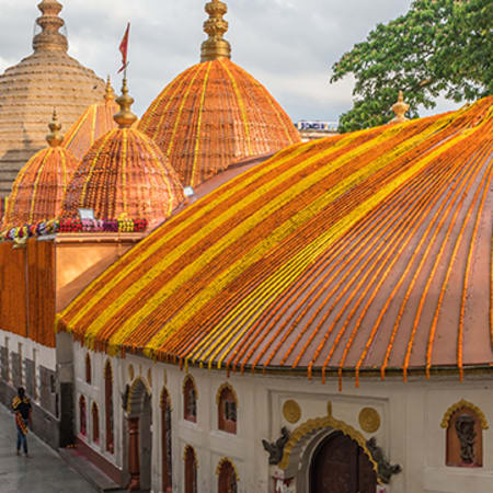 7-Day Assam Cultural and Wildlife Tour with Kaziranga and Dibru-Saikhowa