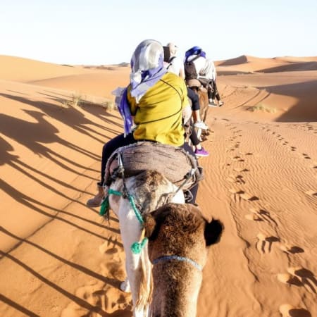 8-Hour ATV Sunset Safari from El Quseer with BBQ Dinner and Show