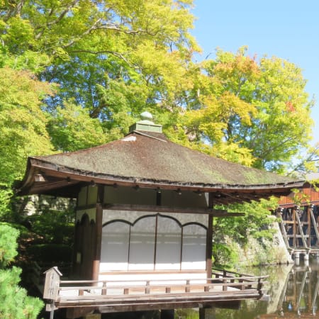 5-Hour Wakayama Castle Tour with Samurai Costume Experience