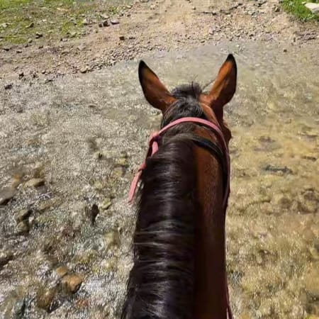 6-Hour Horseback Riding Tour in Ile-Alatau National Park