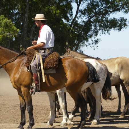 9-Hour Gaucho Tour to San Antonio de Areco with Asado Lunch