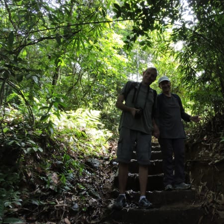 1-Day Wildlife Trek in Gunung Leuser National Park with Orangutans