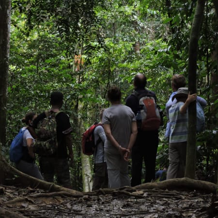 1-Day Wildlife Trek in Gunung Leuser National Park with Orangutans