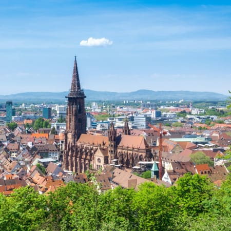 2-Hour Freiburg im Breisgau Private Walking Tour with a Local