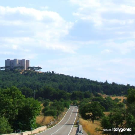 2-Hour Castel del Monte Guided Tour with Octagonal Mystery