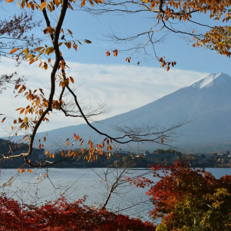 Full-Day Mt. Fuji Tour from Tokyo with Lake Kawaguchi