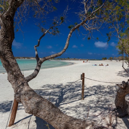 8-Hour Elafonisi Beach Jeep Tour with Milia Mountain Retreat Lunch