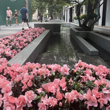 3-Hour French Concession Walking Tour in Shanghai with Xintiandi
