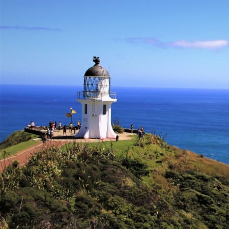 9-Hour Cape Town Peninsula Tour with Penguins and Cape Point