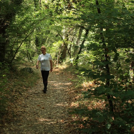 4-Hour Vikos Gorge Trek in Zagori with Voidomatis Riverside Trail