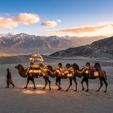 5-Day Private Ladakh Tour to Nubra Valley and Pangong Lake