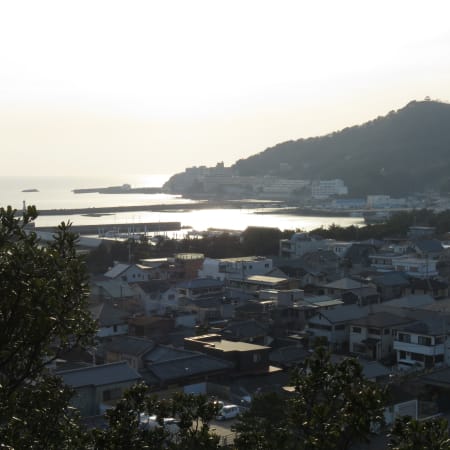 5-Hour Wakayama Cycling Tour with Customizable Themed Courses