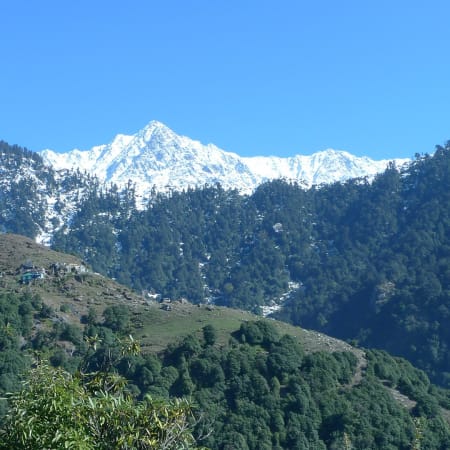 8-Hour Triund Hike in Dharamshala with Dhauladhar Views