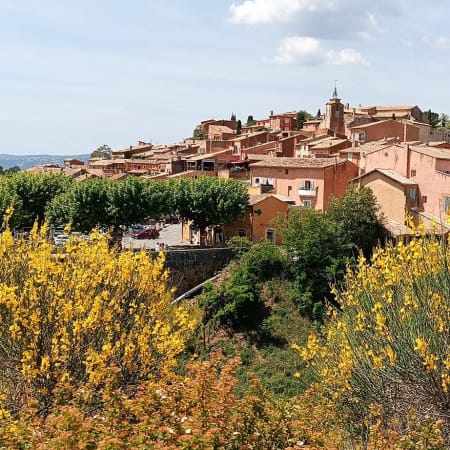 8-Hour Luberon Lavender Tour from Aix-en-Provence with Local Expert