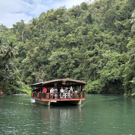 14-Hour Bohol Tour with Chocolate Hills, Loboc River and Tarsiers