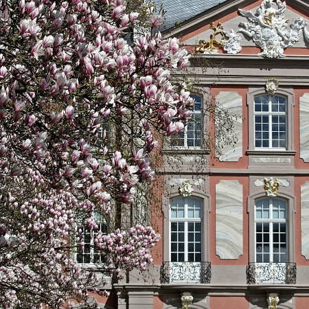 2-Hour Trier Sightseeing Tour with Porta Nigra and Viez