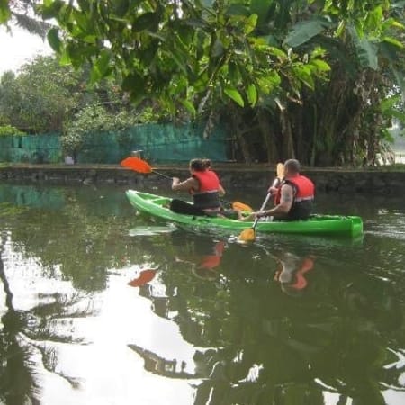 8-Hour Kochi and Alleppey Tour with Fort Kochi and Backwater Cruise