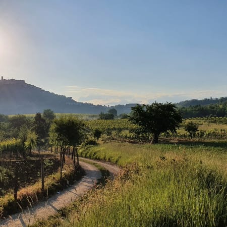 10-Hour Istrian Peninsula Tour from Rijeka or Opatija with Motovun