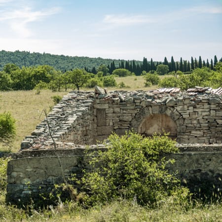 3-Hour Castel del Monte Tour from Trani with Guided Visit
