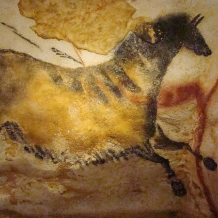 7-Hour Prehistoric Cave Tour in Dordogne with Lascaux and Rouffignac