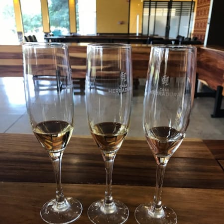 7-Hour Tequila Canyon Hike from Guadalajara with Los Azules and Tequila