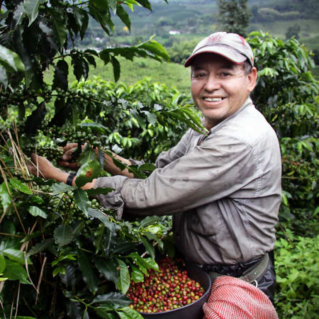 12-Day Colombia Coffee Axis Tour with Bogotá and Los Nevados