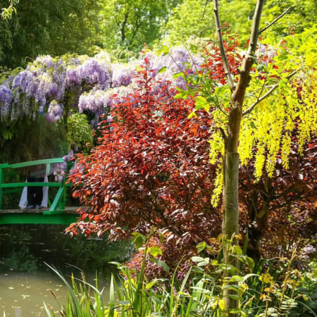 13-Hour Van Gogh and Monet Tour from Paris with Giverny and Auvers