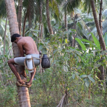 10-Hour Kannur Sightseeing Tour with Forts, Temples, and Handloom
