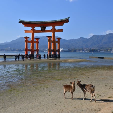 10-Hour Hiroshima Tour from Osaka or Kyoto with Itsukushima Shrine
