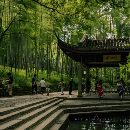 8-Hour Hangzhou Tea Hills Hiking Tour from Shanghai with Longjing