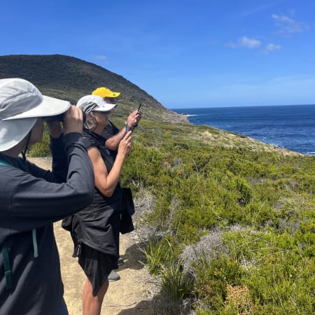 8-Hour Tasman Peninsula Tour from Hobart with Port Arthur