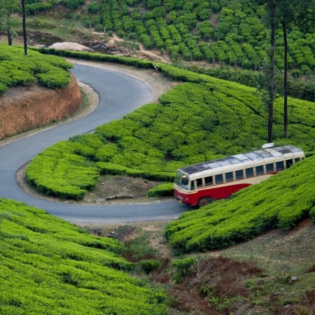 7-Day Kerala Tour through Munnar Thekkady Vagamon and Kumarakom