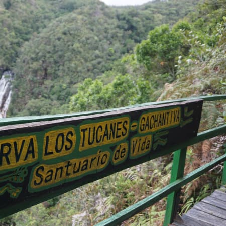 Tour de 3 horas a Los Tucanes con cascadas y senderos ecológicos