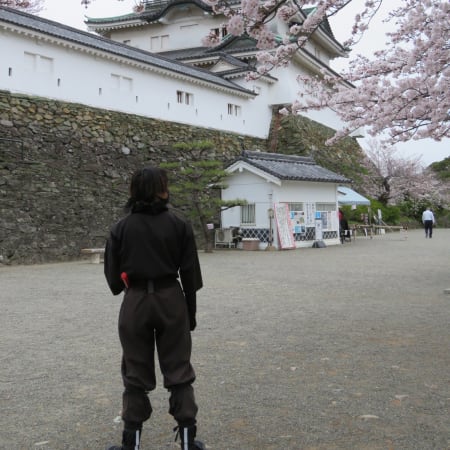 5-Hour Wakayama Castle Tour with Samurai Costume Experience