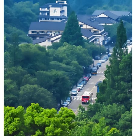 8-Hour Hangzhou Tea Hills Hiking Tour from Shanghai with Longjing