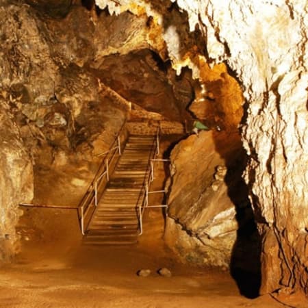 8-Hour Sterkfontein Caves Tour with the Cradle of Humankind