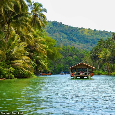 6-Day Bohol and Cebu Adventure with Apo Island and Kawasan Falls